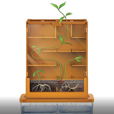 4M Green Science Grow-A-Maze DIY Mini Plant Growth Lab Educational Activity