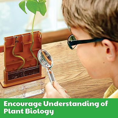 4M Green Science Grow-A-Maze DIY Mini Plant Growth Lab Educational Activity