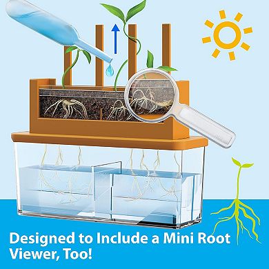 4M Green Science Grow-A-Maze DIY Mini Plant Growth Lab Educational Activity