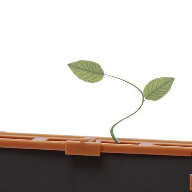 4M Green Science Grow-A-Maze DIY Mini Plant Growth Lab Educational Activity