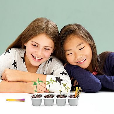 4M Weather Science Mini Observatory Kit Educational STEM Activity