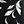 Black Easy Leaves