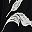 Black Easy Leaves