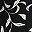 Black Easy Leaves