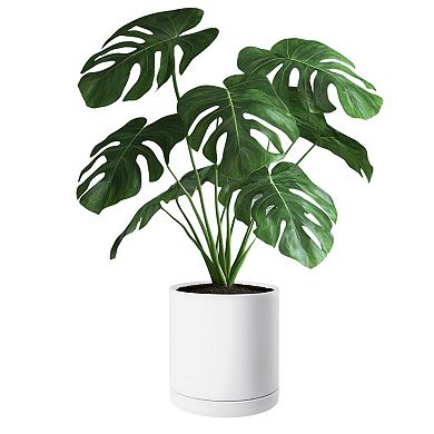 White Ceramic Plant Pot with Drainage Holes and Saucer for Houseplants