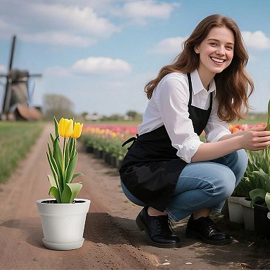 White Plastic Plant Pots with Drainage Holes and Matching Saucers