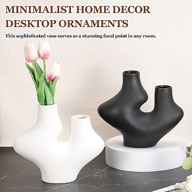 Abstract Vase, Minimalist Home Decor Desktop Ornaments for Living Room, TV Cabinet, Dining Table