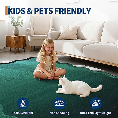 Gradient Color machine Washable Area Rug for Living Room Non Slip Non Shedding Rug for Dining Room