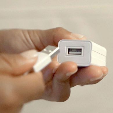 Pioneer Pet The Swan Fountain - Premium Plastic