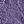 Iris Purple
