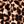 Black Animal