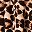 Black Animal