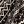 Black Nordic Fairisle