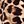 Black Animal