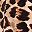 Black Animal