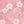 Pink Floral