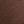 Tiramisu Brown
