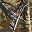 Brown Camo