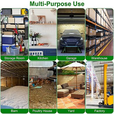 2Pcs Humane Mouse Trap Cages, Reusable Live Catch & Release Rat Traps with One-Way Door