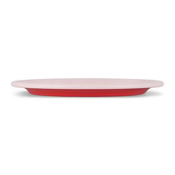 Enamel Dinner Plate Two Tone Set of 4