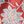Rust Global Floral