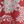 Rust Global Floral