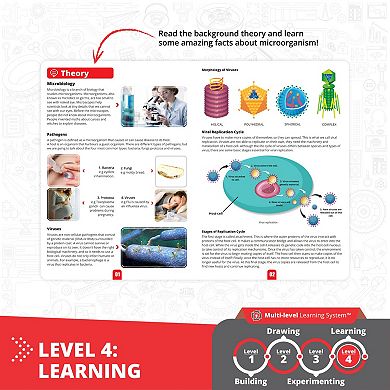 Engino STEAM Labs Junior How Viruses Work 2-pc. Model Brick Building Set