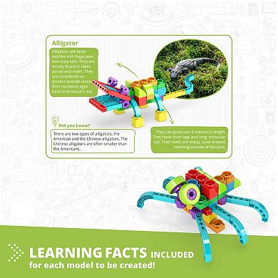 Engino Qboidz Alligator 5 Model Brick Building Toy Construction Set