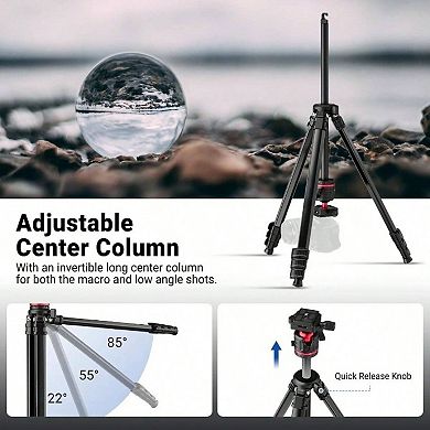 NEEWER BASICS Travel Tripod, Compact, Lightweight, Universal Compatibility