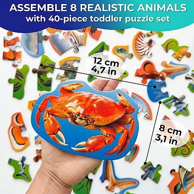 QUOKKA Floor Puzzles for Kids 3-5 8 Realistic Ocean Animals, Extra-Thick Cardboard, 40 Big Pieces