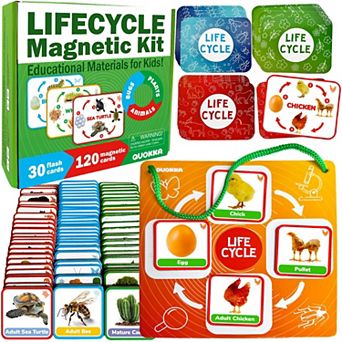 QUOKKA 30 Flashcards and 120 Cards Life Cycle Magnetic Kit for Kids 2-4 Years Montessori Toddler Toy