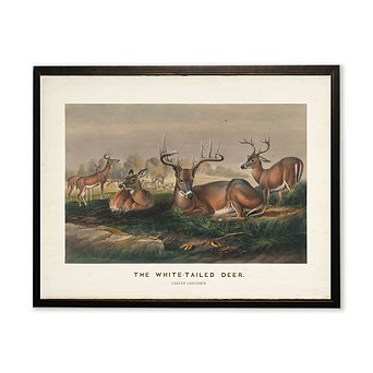 The White-Tailed Deer Scene in Copper and Black Frame