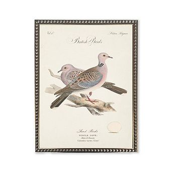 Turtle Doves in Silver-Beaded Frame