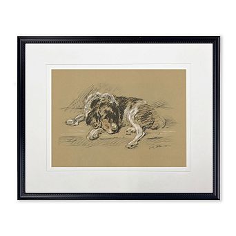 Sketched Dog Print in Black Frame