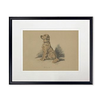 Sitting Dog Sketch Print in Black Frame