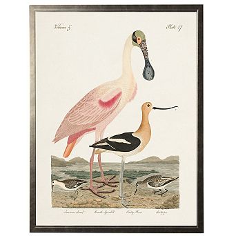 Spoonbill Birds in Silver Frame