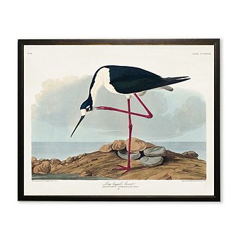 Long-Legged Avocet in Black and Copper Frame