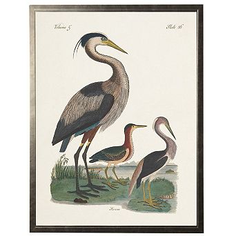 Herons in Silver Frame