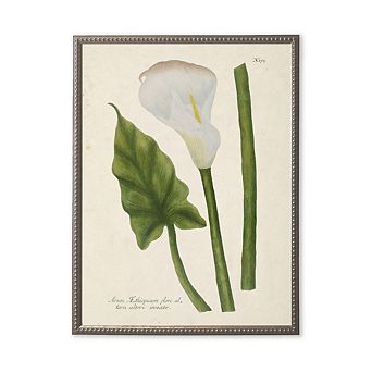 White Flower, Leaf, and Stem in Silver-Beaded Frame