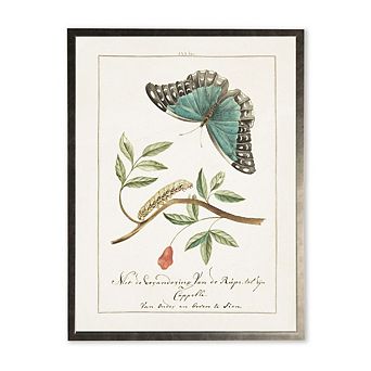 Butterfly and Caterpillar in Silver Frame
