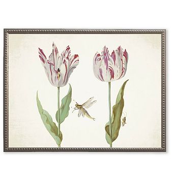 Dragonfly and Pink Flowers in Silver-Beaded Frame
