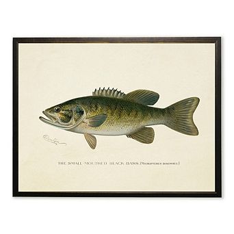 Small-Mouthed Black Bass Print in Copper and Black Frame
