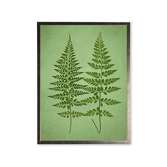 Ferns in Silver Frame