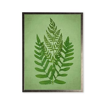 Fern in Silver Frame