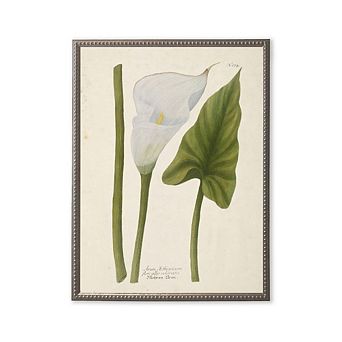 White Flower and Leaf in Silver-Beaded Frame