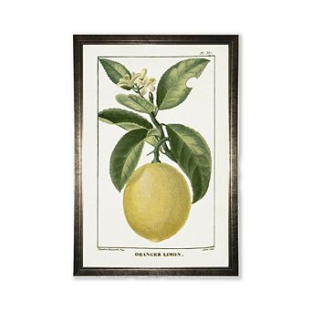 Lemon Plant in Silver Frame