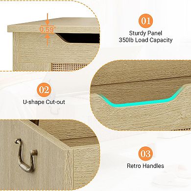 IDEALHOUSE Farmhouse Storage Chest with Safety Hinge