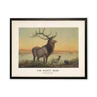The Wapiti Deer Scene in Copper and Black Frame