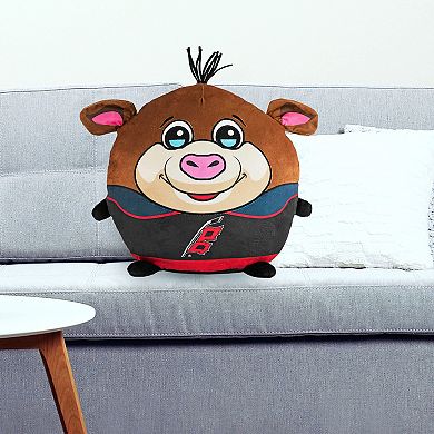 NHL Carolina Hurricanes Flag Logo Kiri Cloud Plushie