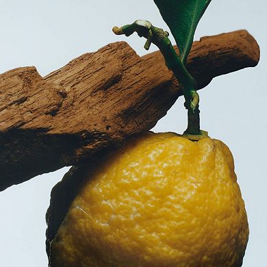 Oud & Bergamot Cologne Intense